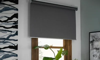 Window Blinds