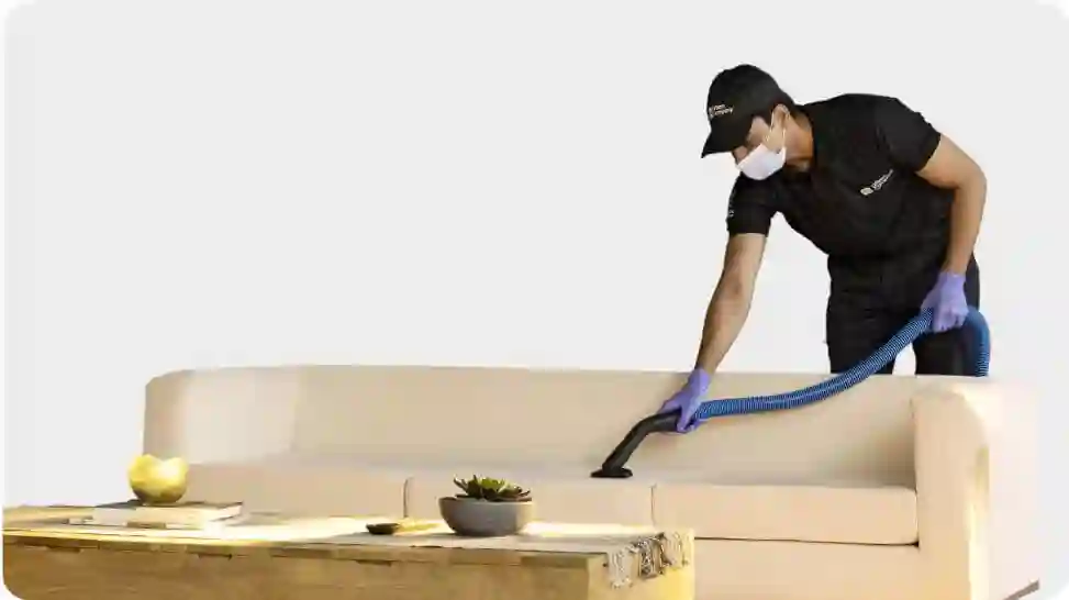 Sofa Cleaning