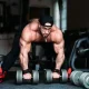 Muscle Building